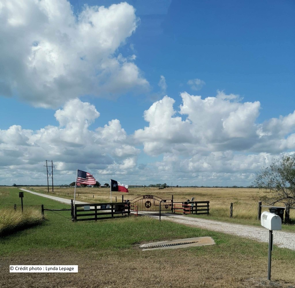 Jour 11 Le&nbsp;Texas