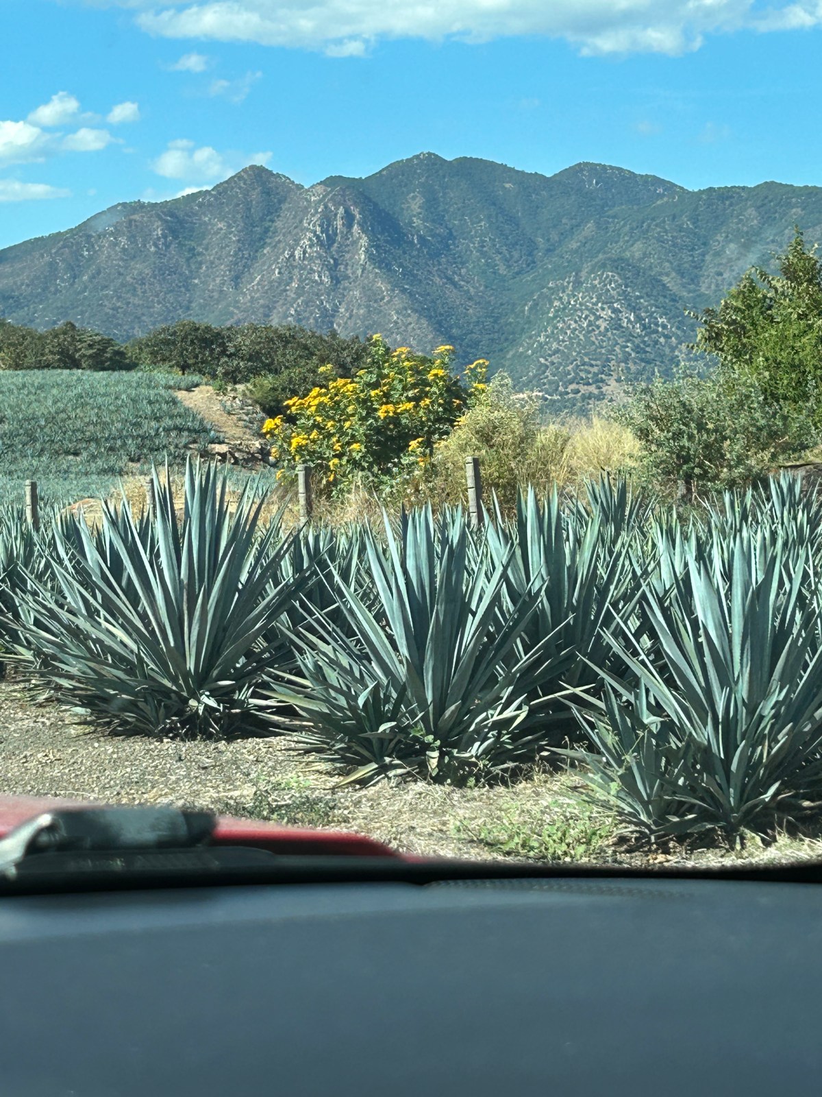 Jour 18 : Arrivée au&nbsp;Mexique