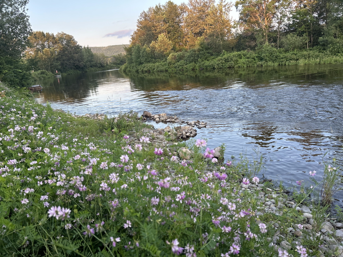 Deuxième périple vers le&nbsp;Mexique!