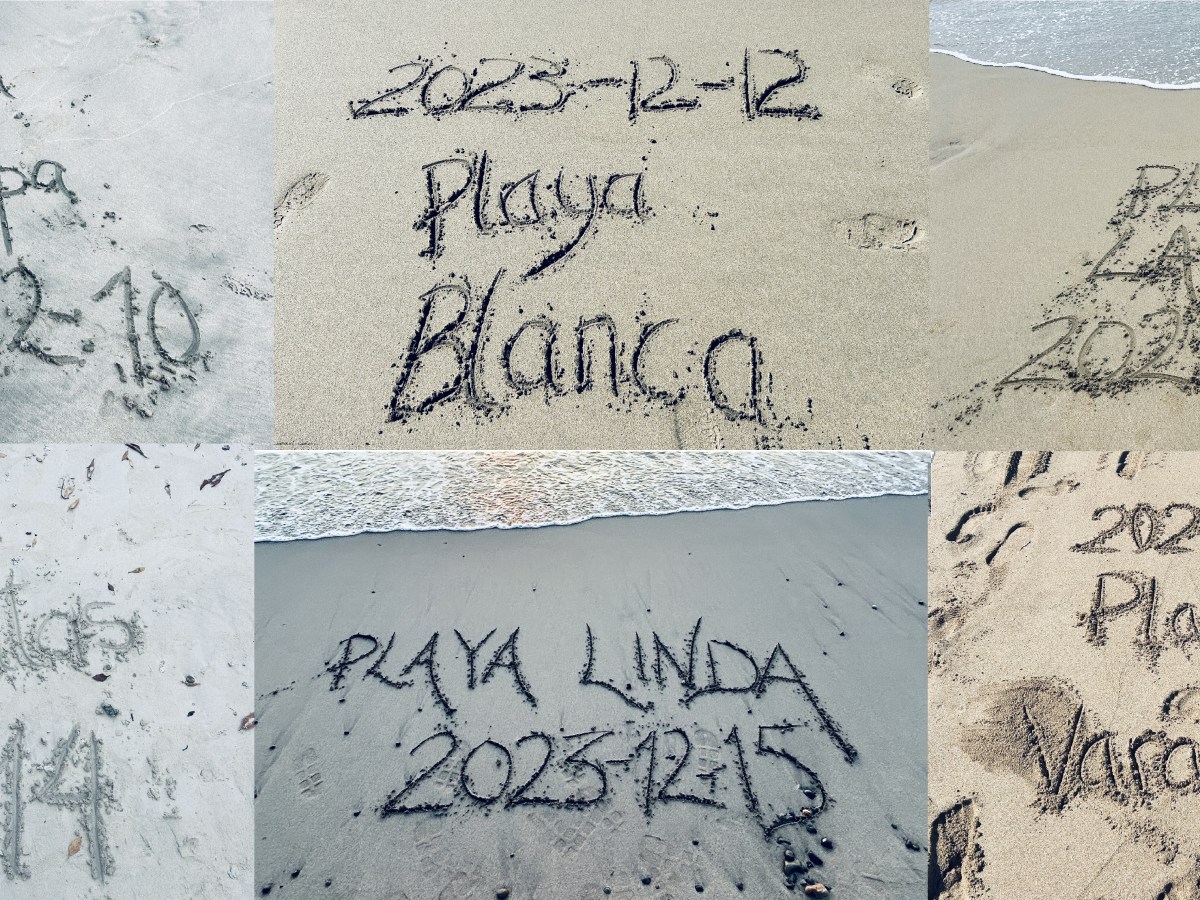 Ixtapa Zihuatanejo – del 7 al 19 de dic. de&nbsp;2023